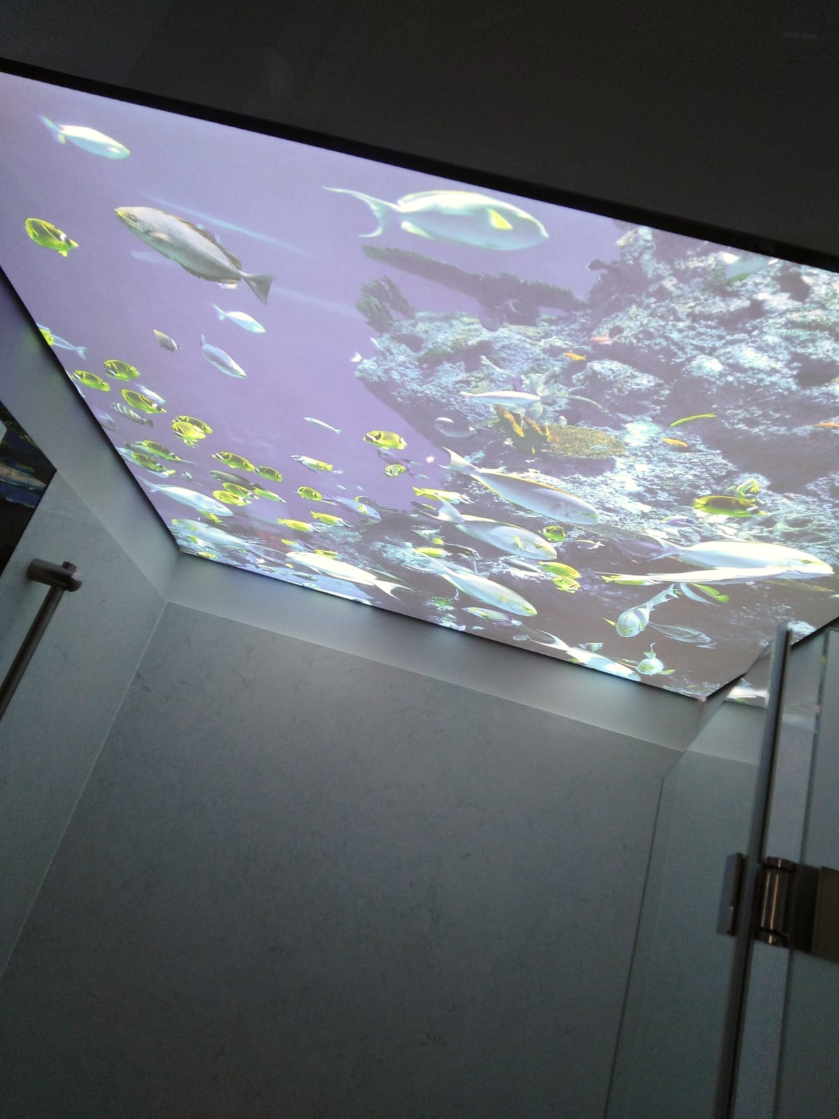 Bedruckte_Spanndecke